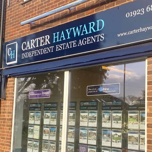 Carter Hayward